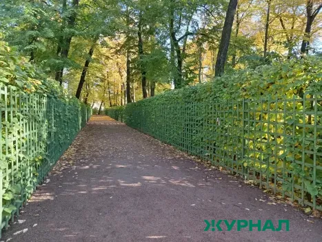 В Татарстане благоустроят 51 общественное пространство в 2026 году