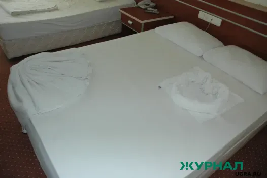 В селе Теньки откроют гостиницу в усадьбе Гагариных с музеем и легендой о призраке