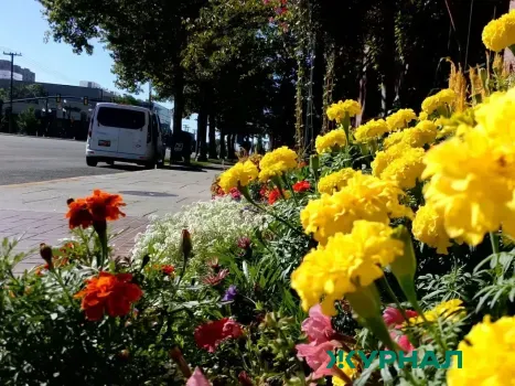 Погода в Татарстане: облачно и тепло, до +30 градусов днем