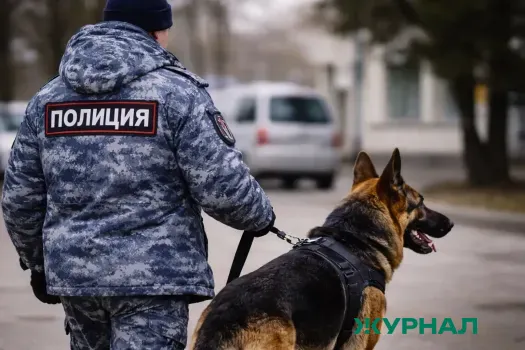 Полиция Набережных Челнов ищет 16-летнюю школьницу Ульяну Муфазалову